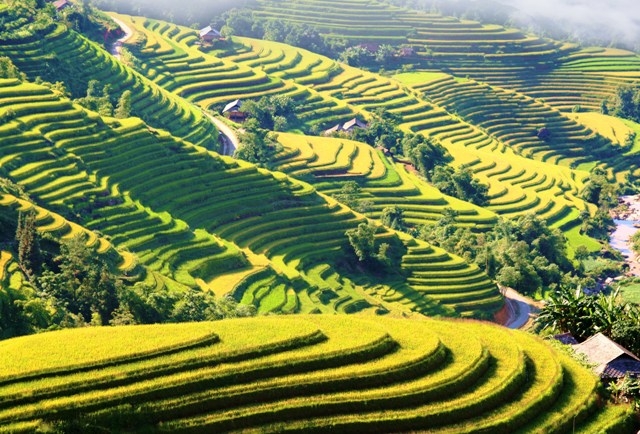 «Sur la route des rizières en terrasses à valeur patrimoniale de Hoang Su Phi»